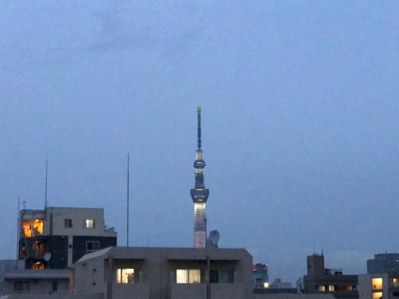 雷伽多商务酒店 東京都 外观 照片
